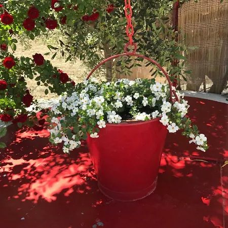 فندق مبيت وإفطار Cenzina مارينا دي بيستيتشي