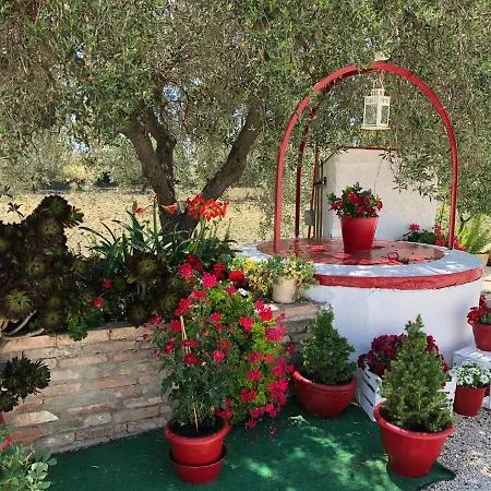 Bed & Breakfast Cenzina Marina Di Pisticci
