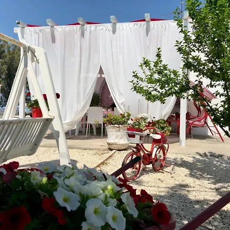 Cenzina 3*