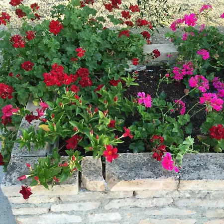Cenzina Bed and breakfast Marina Di Pisticci