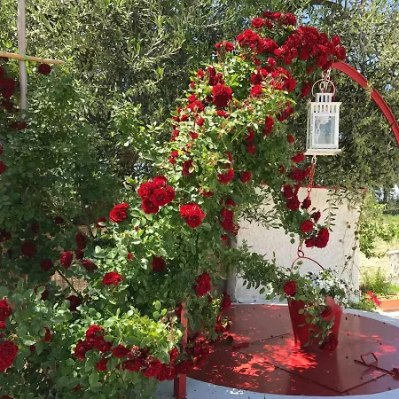Cenzina Bed & Breakfast 3*