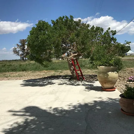 Cenzina 3* Marina Di Pisticci