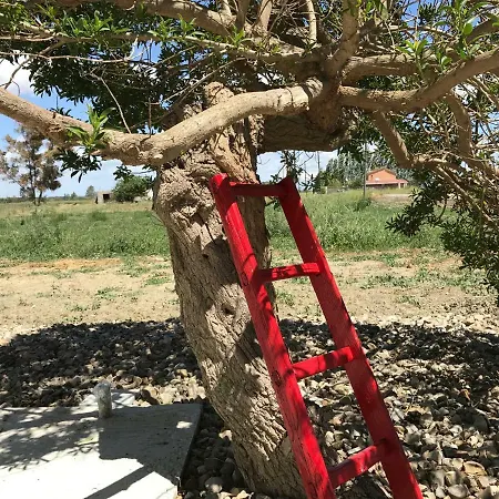 Bed & Breakfast Cenzina 3*