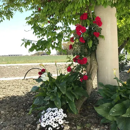 Cenzina Marina Di Pisticci