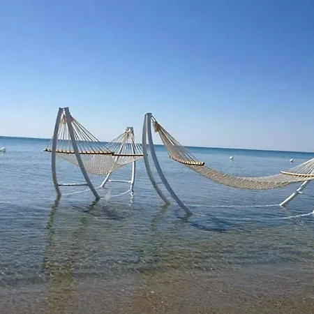 Cenzina