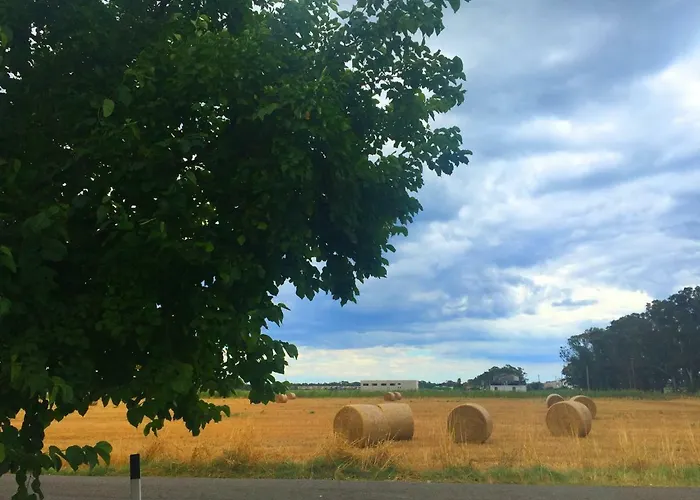 Cenzina 3* Marina Di Pisticci