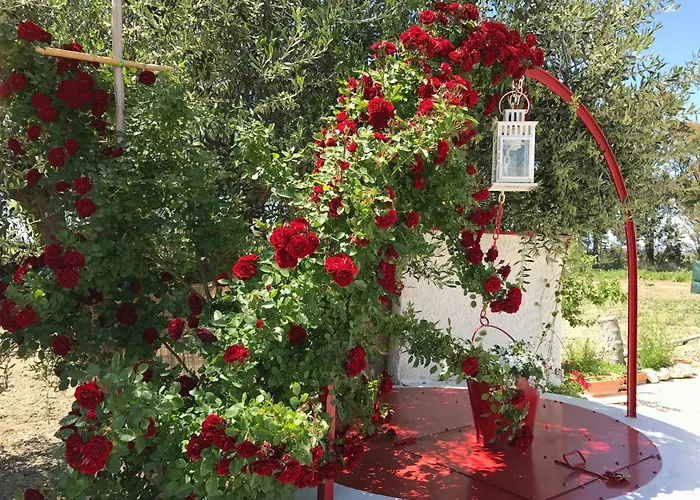 Cenzina Bed & Breakfast 3*