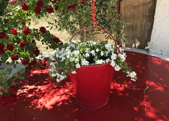 Bed & Breakfast Cenzina Marina Di Pisticci