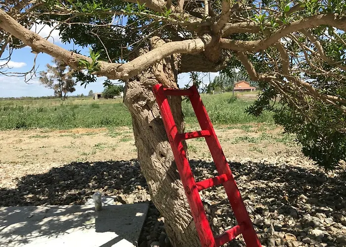 Bed & Breakfast Cenzina 3*