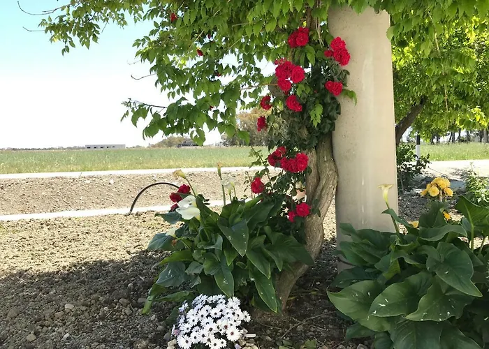 Cenzina Marina Di Pisticci