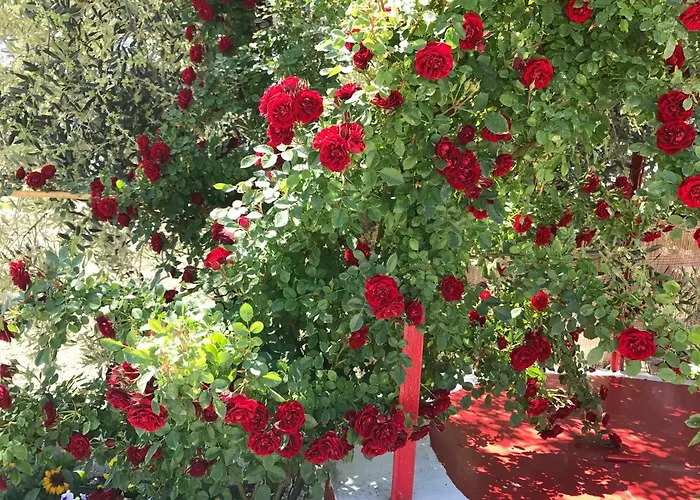 Bed & Breakfast Cenzina